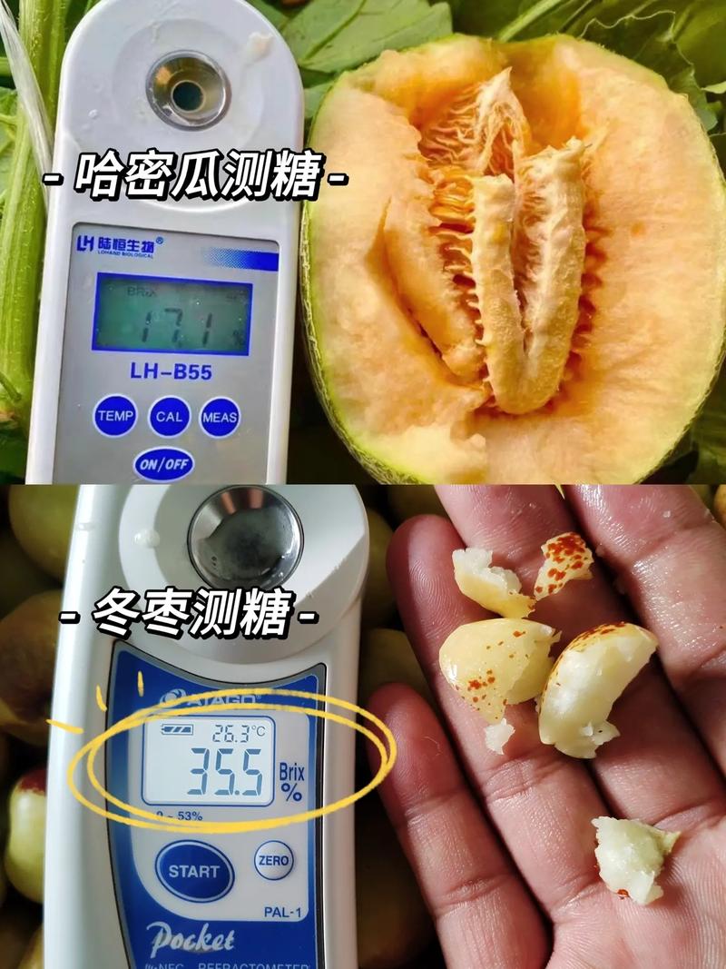 糖度13度有多甜