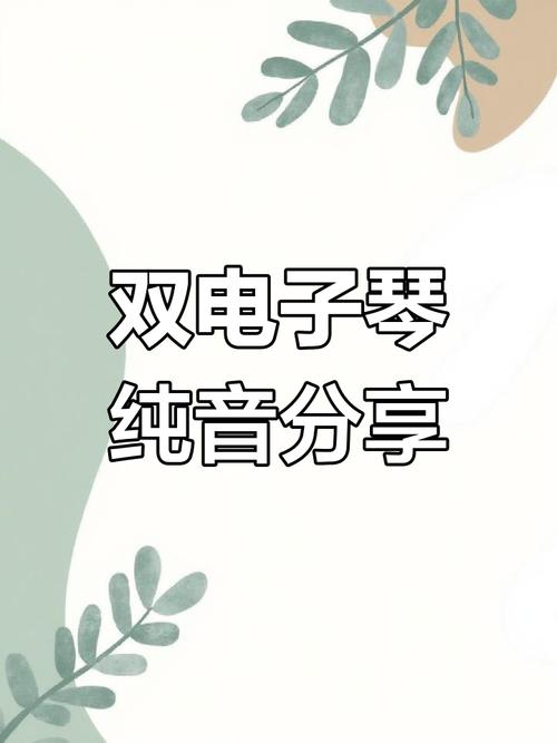 鐳射60分鐘雙電子琴dj 鐳射60分鐘雙電子琴dj