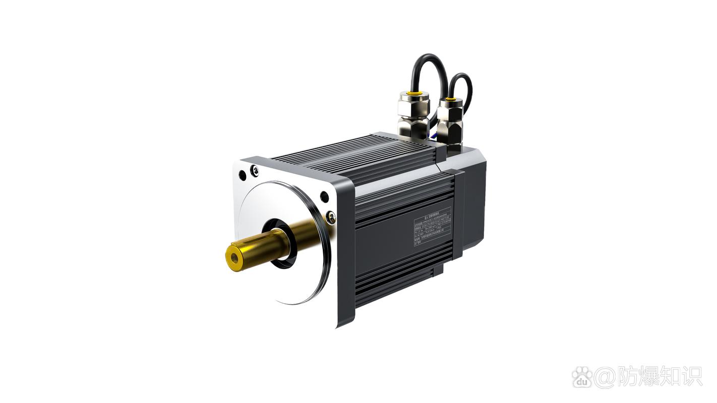 防爆型伺服電機(jī)維修費(fèi)用