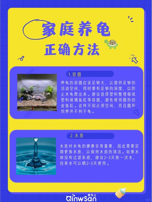 水龜維修指南