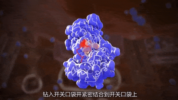 驅動蛋白動態圖，驅動蛋白的構造由哪些組成