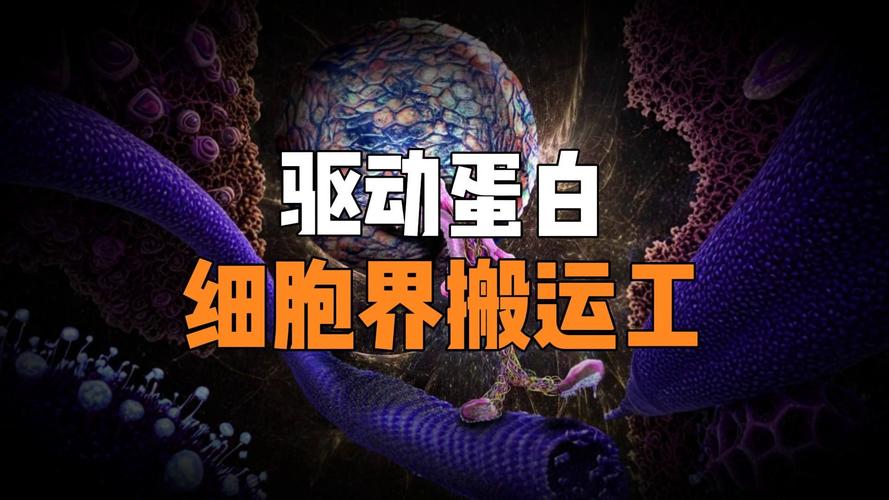 驅動蛋白是蛋白質嗎，驅動蛋白的運輸方向是從微管負端到正端